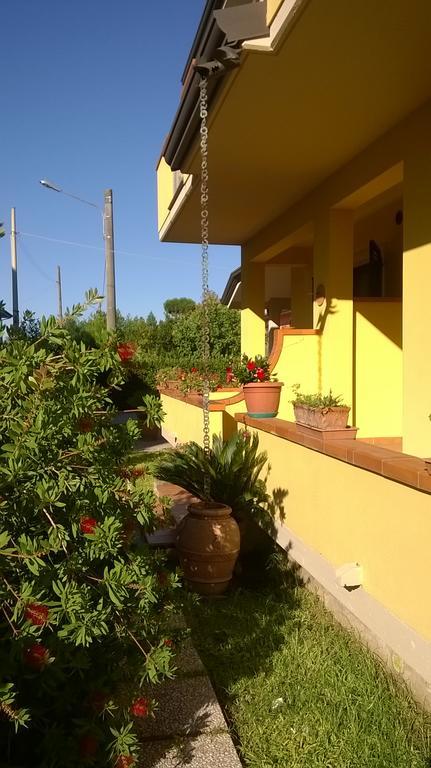 维亚雷焦Nonna Alda住宿加早餐旅馆 外观 照片