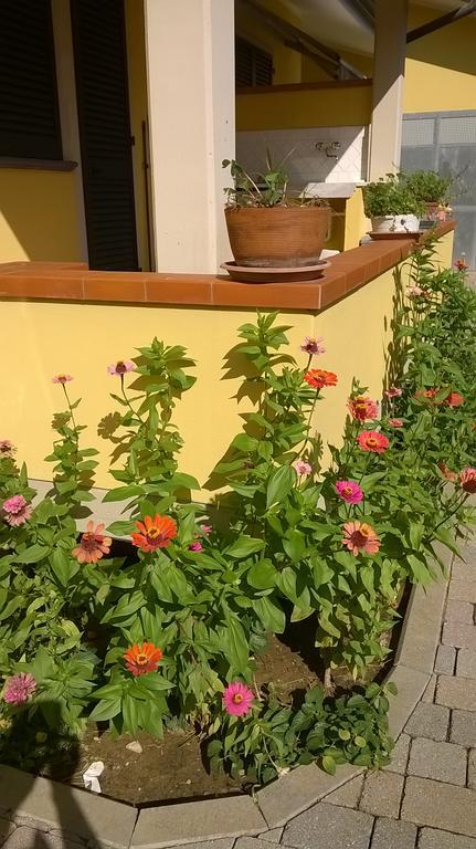 维亚雷焦Nonna Alda住宿加早餐旅馆 外观 照片